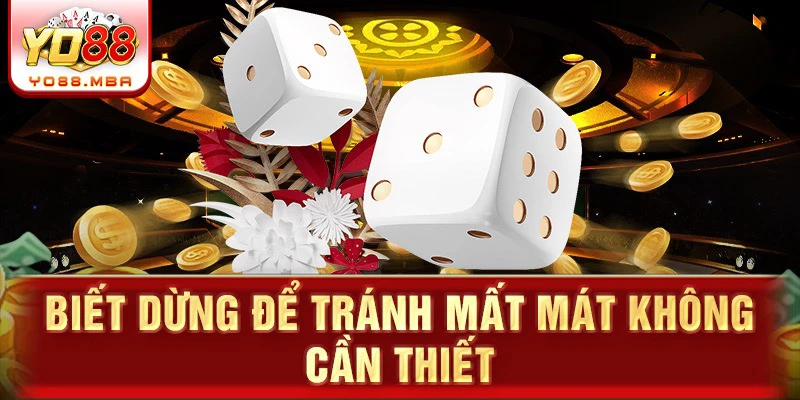 Biết dừng để tránh mất mát không cần thiết