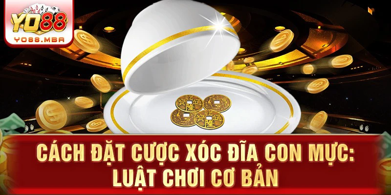 Cách đặt cược xóc đĩa con mực: luật chơi cơ bản